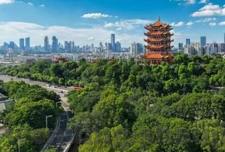 国际足球比分直-国际足球比分直击，绿茵烽火，全球共赏的激情盛宴