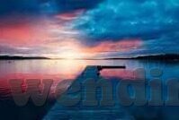 瑞典对伊朗足球比分-绿茵烽火，瑞典与伊朗足球对决的比分背后故事