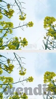 足球比分哪好-足球比分追踪全攻略，五大平台深度评测与实用指南