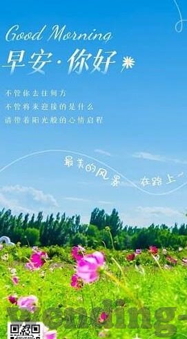 足球比分网介绍-足球迷必看！全方位解析足球比分网，数据盛宴背后的实用指南